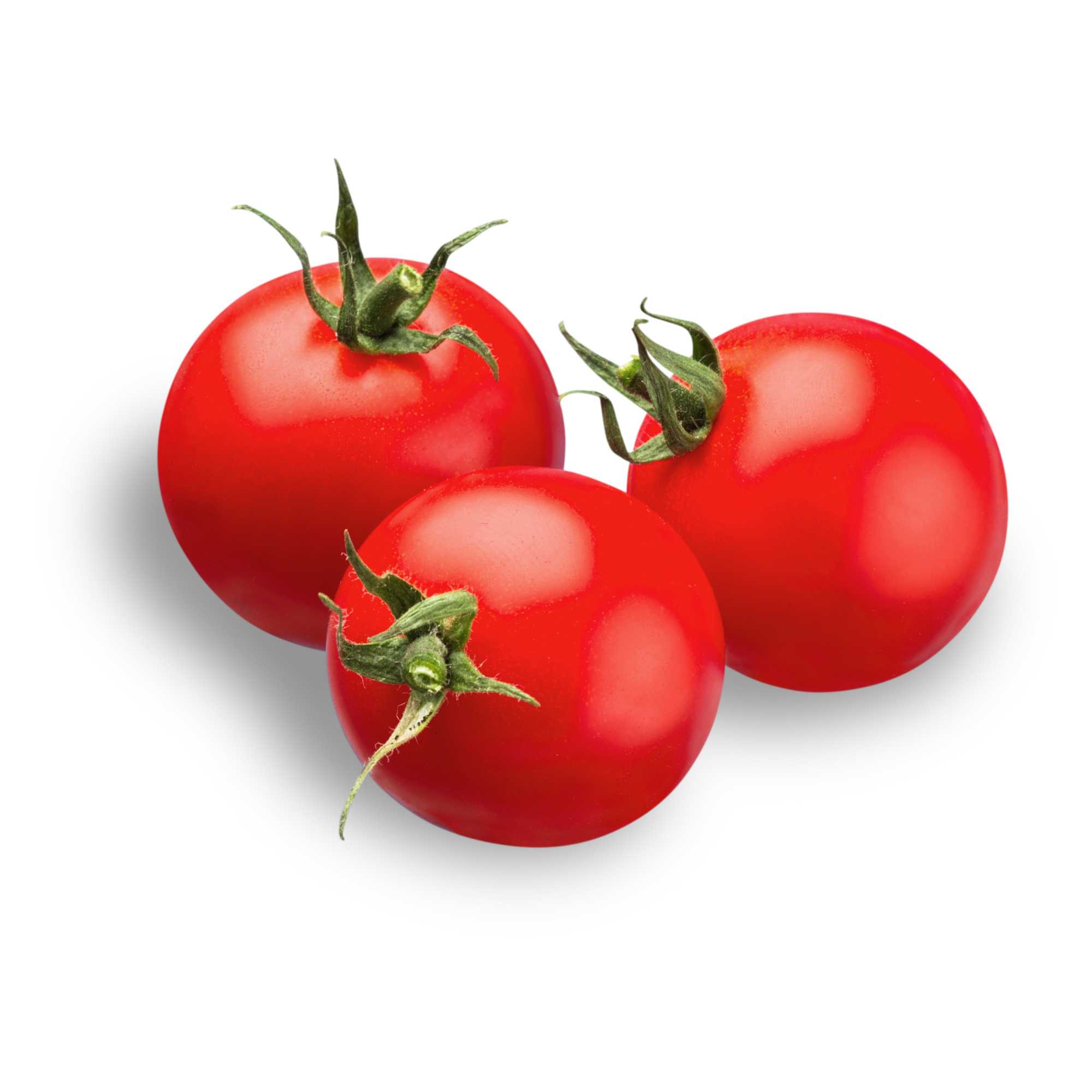 Tomato