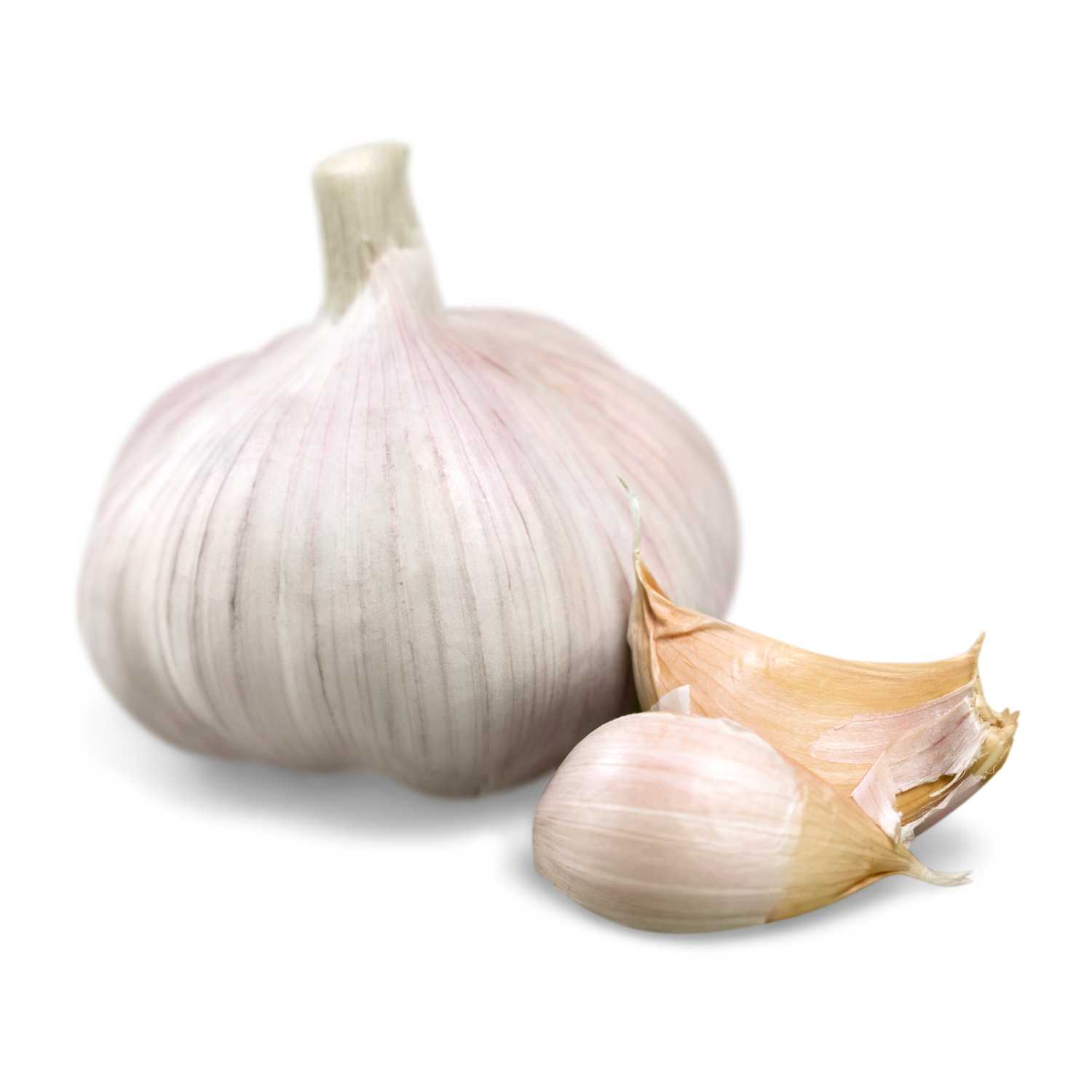 Garlic (Lehsun)