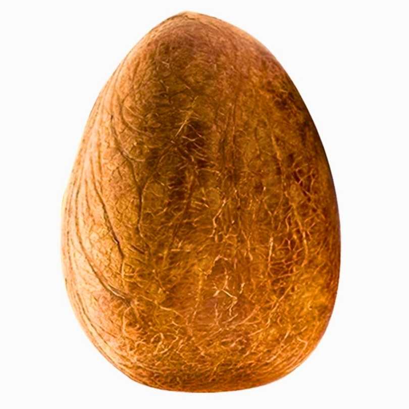 Nariyal Gadi (small)