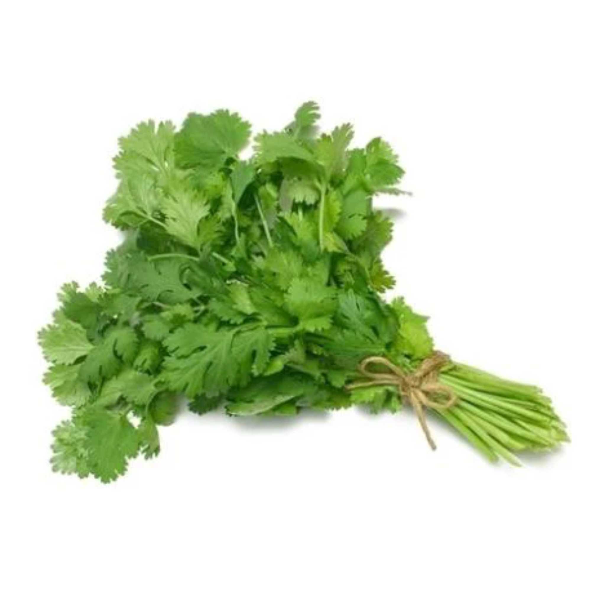 Coriander Bunch (Dhaniya Patta)