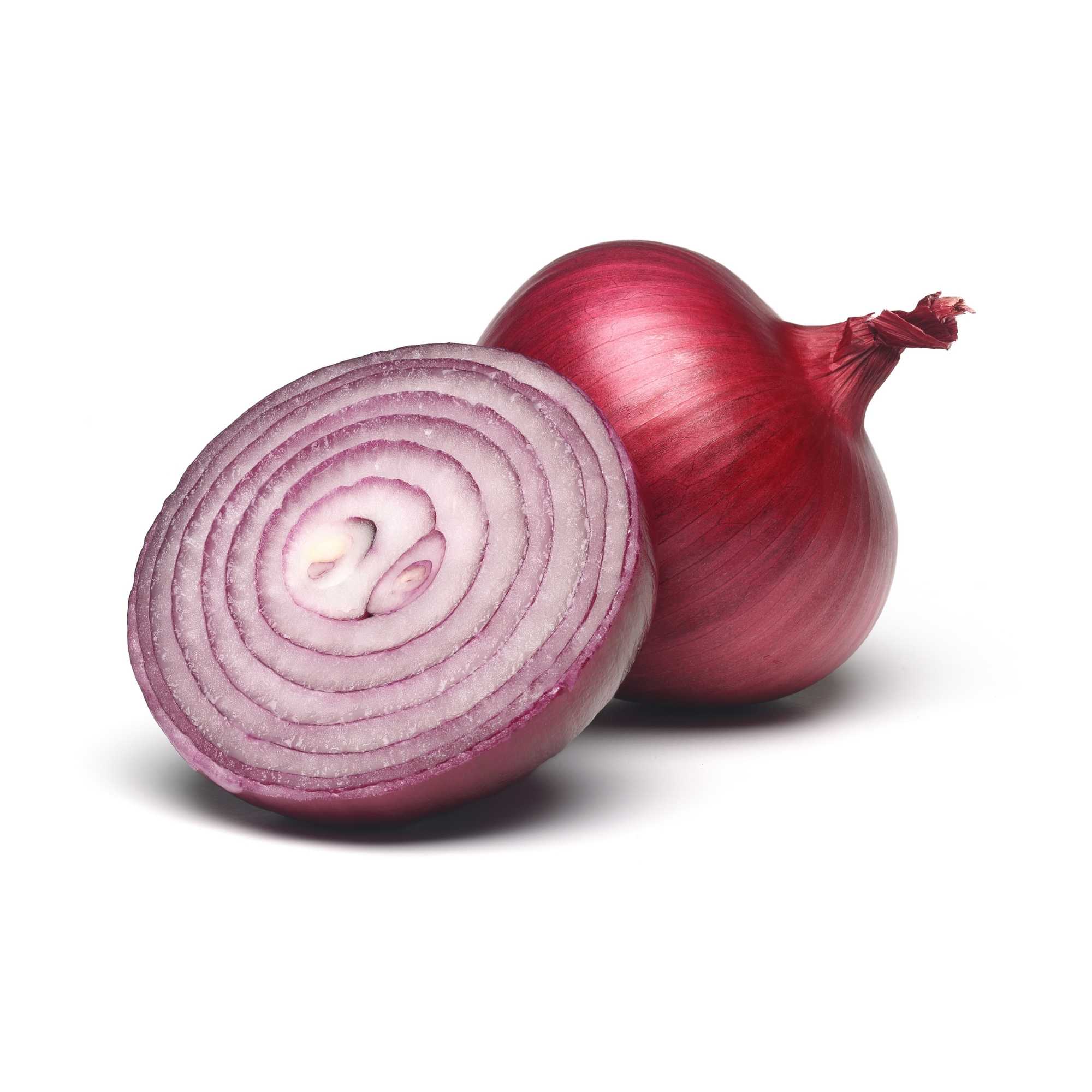 Onion