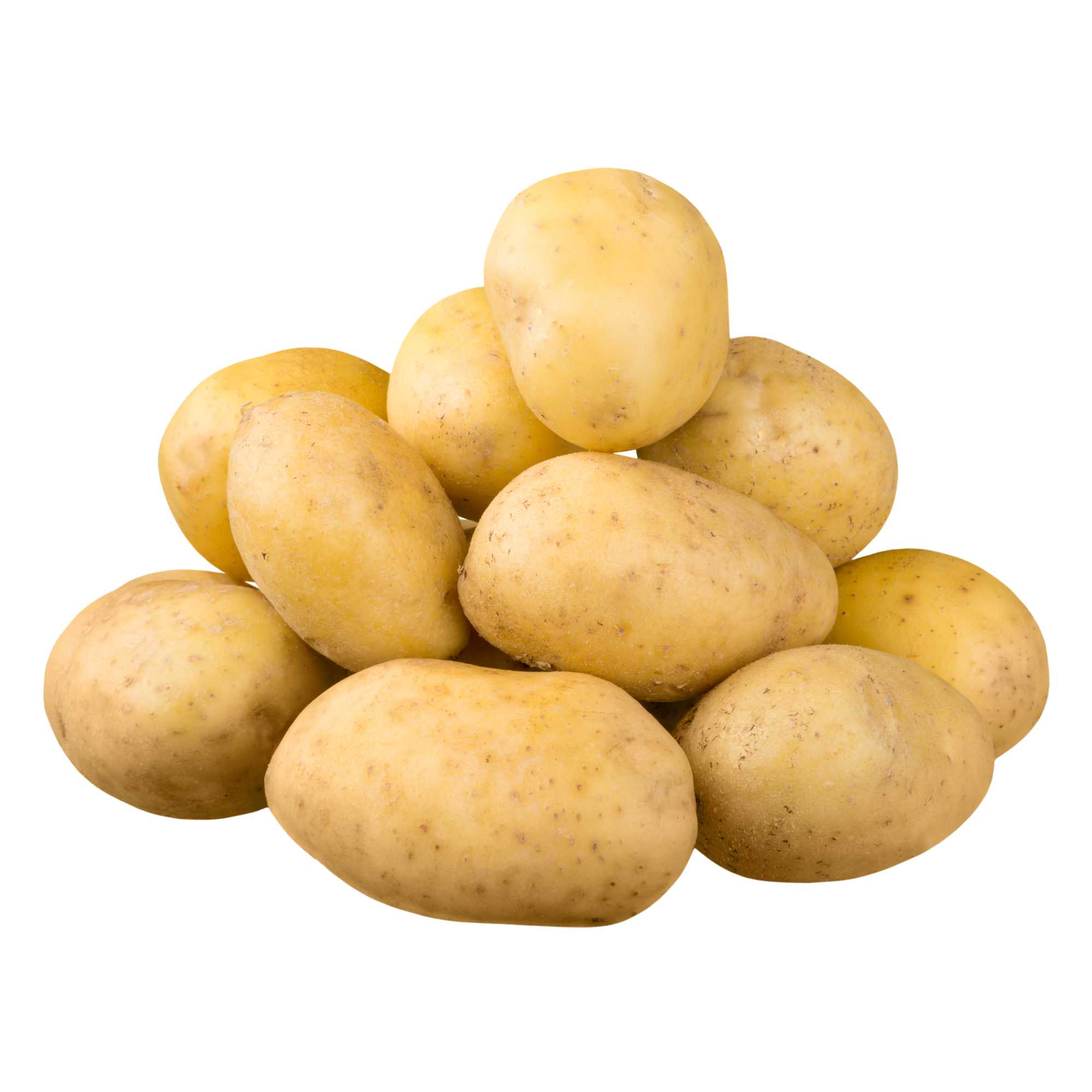 Potato